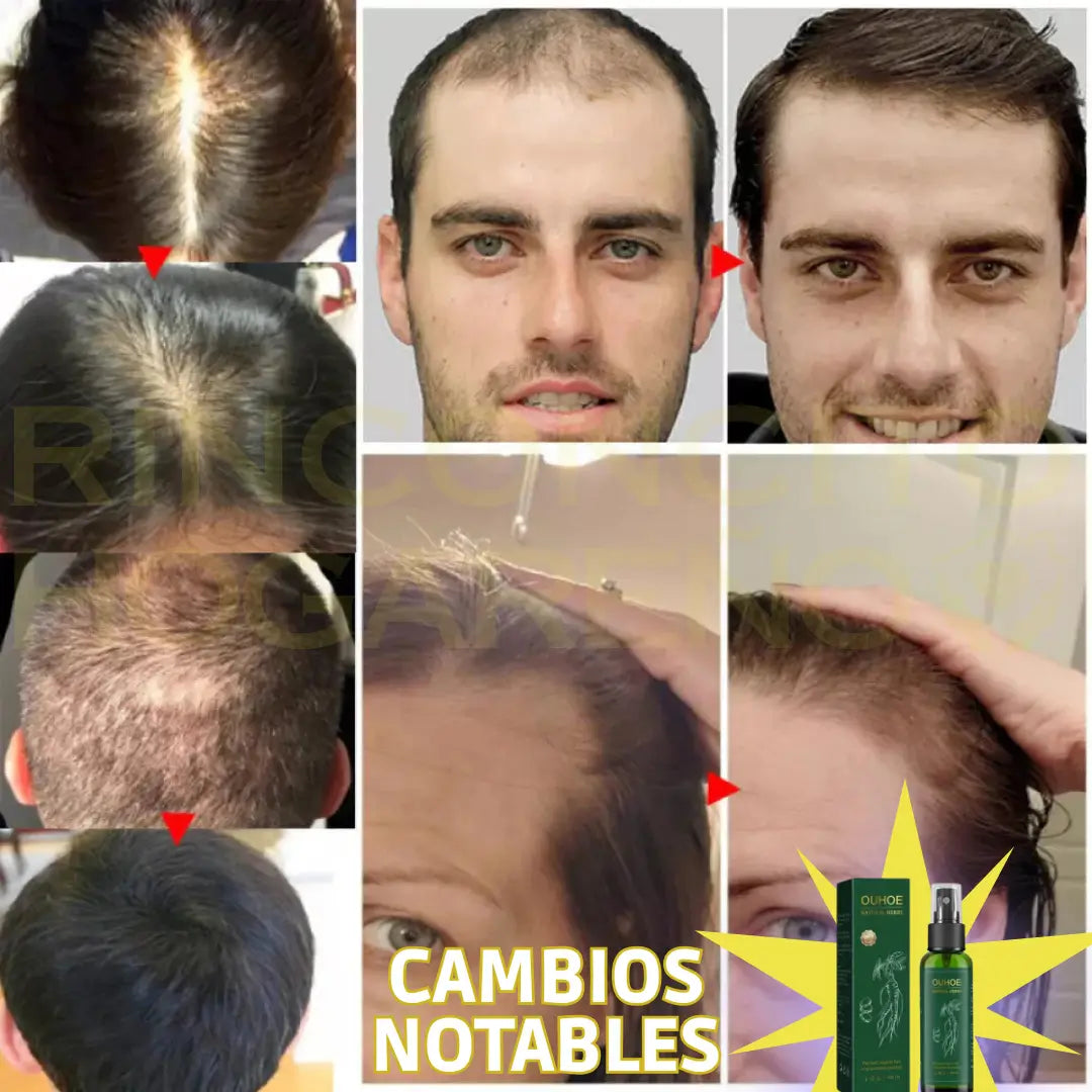 Encabezado
